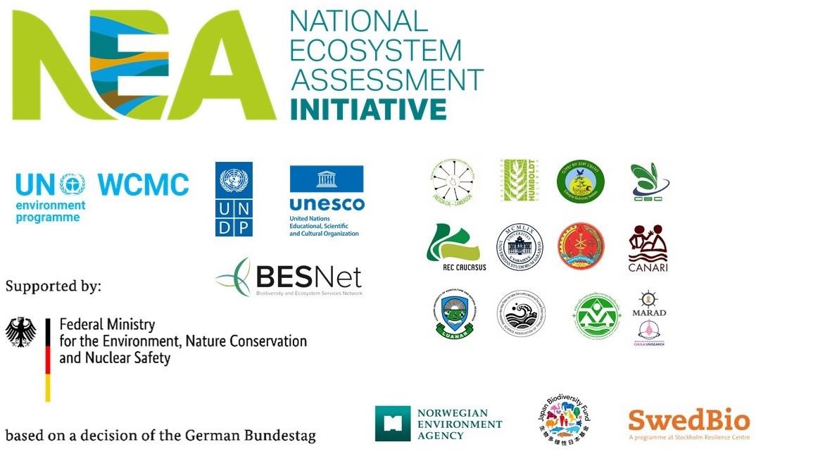 Partners Of The NEA Initiative - NEA Initiative